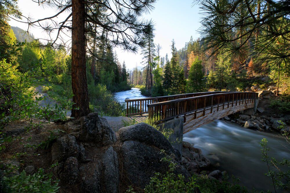 14. Stanislaus National Forest